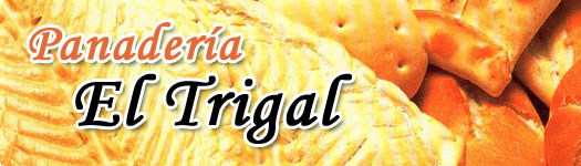 Web Presencial Web Presencial